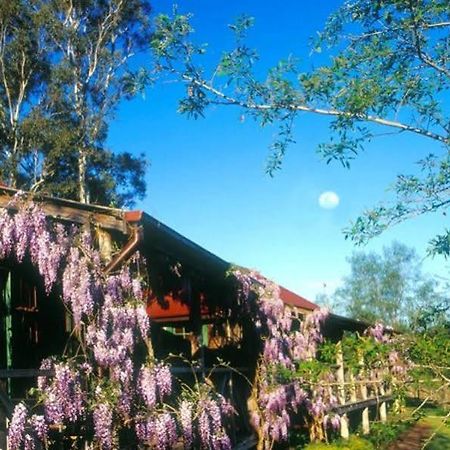 Cedar Creek Cottages Millfield Экстерьер фото