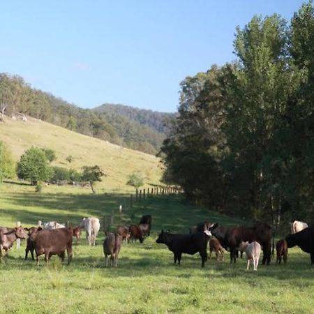 Cedar Creek Cottages Millfield Экстерьер фото
