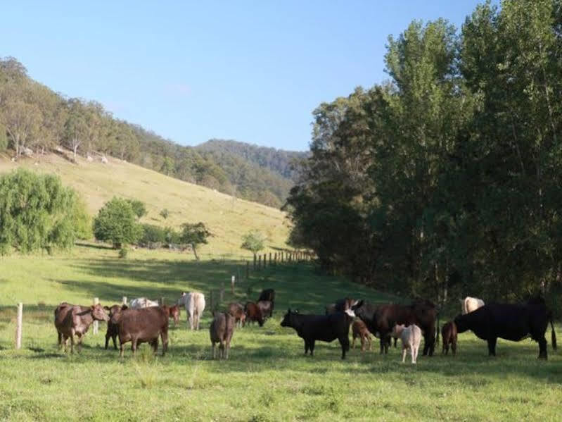 Cedar Creek Cottages Millfield Экстерьер фото